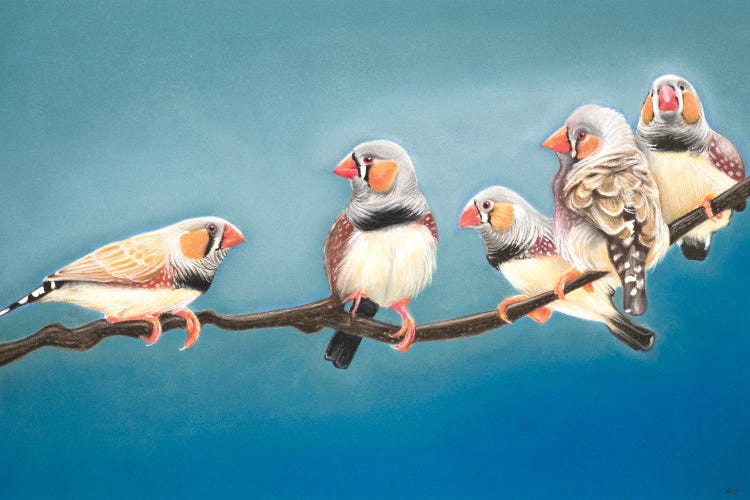 Zebra Finch Meeting by Ann Hutchinson wall art