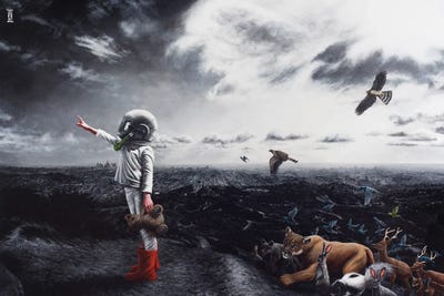 To Play Among The Stars by Alec Huxley art print