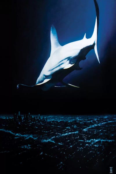 Sharks: Sing Loud For The Sunshine Pray Hard For The Rain by Alec Huxley