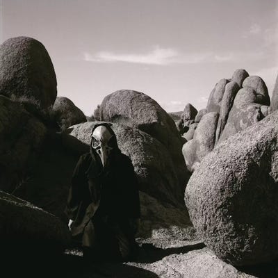 Creep by Alec Huxley canvas print