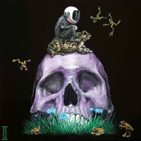 Frogs: Pole Position by Alec Huxley