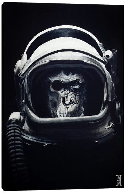Starship Trooper Canvas Art Print - Alec Huxley