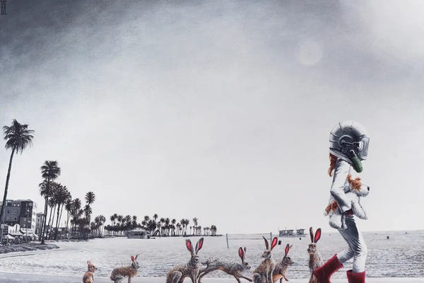 Rabbits: Beach Bunnies by Alec Huxley