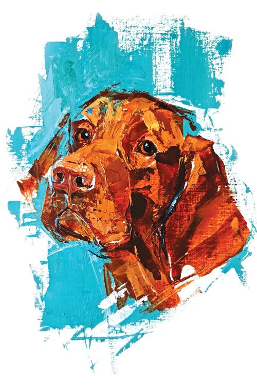 Vizsla