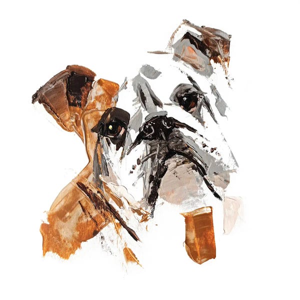 Anna Cher: English Bulldog II by Anna Cher