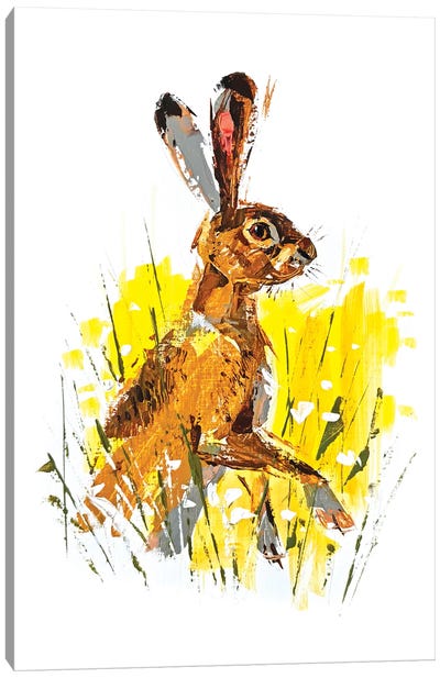 Hare Canvas Art Print - Anna Cher