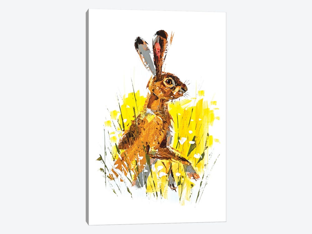 Hare by Anna Cher 1-piece Canvas Wall Art