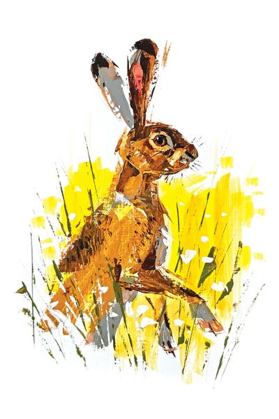 Anna Cher: Hare by Anna Cher