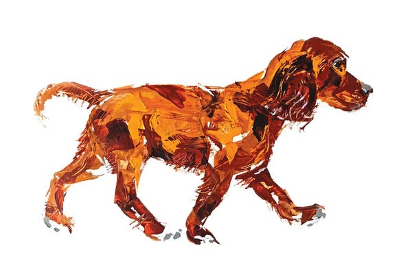 Anna Cher: Spaniel by Anna Cher
