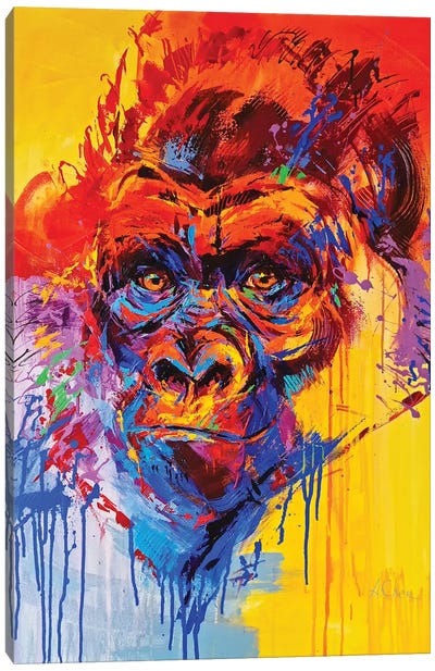 Gorilla Canvas Art Print - Anna Cher