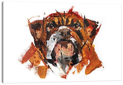 Bulldog Canvas Art Print - Bulldog Art