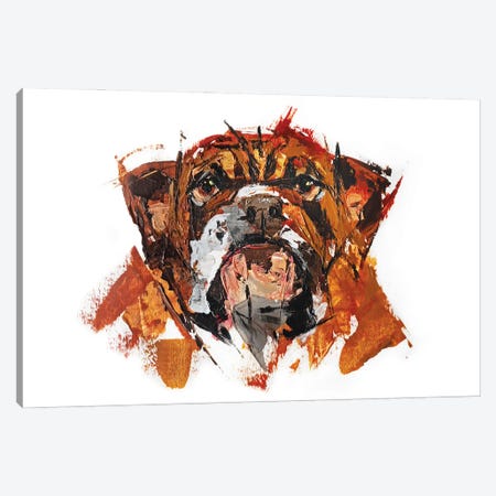 Bulldog Canvas Print #AHZ26} by Anna Cher Canvas Art Print