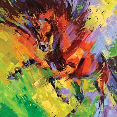 Dreamer by Anna Cher canvas print