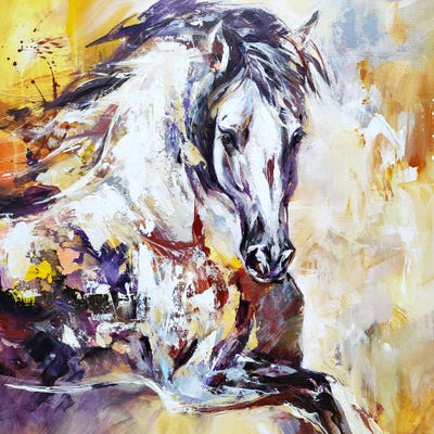 Spirit Unleashed by Anna Cher framed wall art