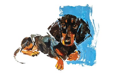 Dachshund by Anna Cher metal wall art