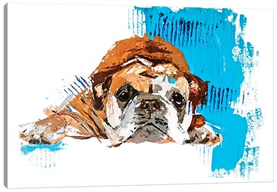 English Bulldog Canvas Art Print - Bulldog Art