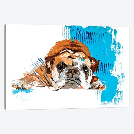 English Bulldog Canvas Print #AHZ8} by Anna Cher Art Print