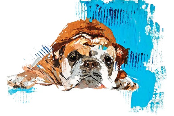 Anna Cher: English Bulldog by Anna Cher