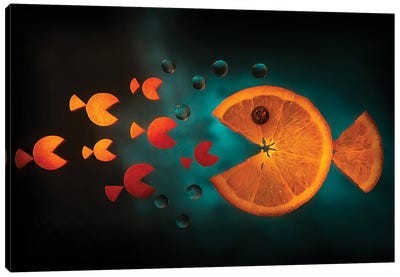 Orange Fish Canvas Art Print