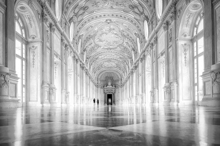 Lost In The Light by Aida Ianeva wall art