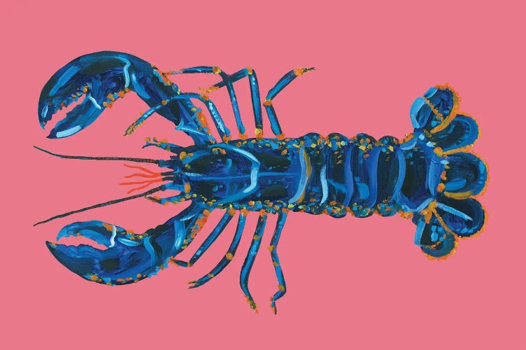 Lobster on Pink by Alice Straker wall art