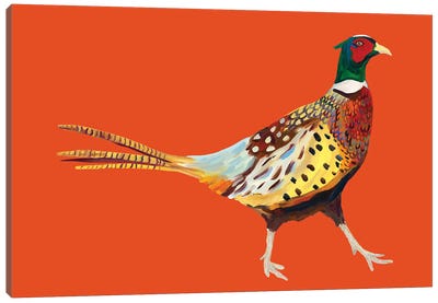 Pheasant on Orange Canvas Art Print - Alice Straker