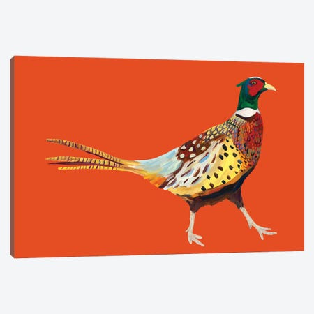Pheasant on Orange Canvas Print #AIE30} by Alice Straker Art Print