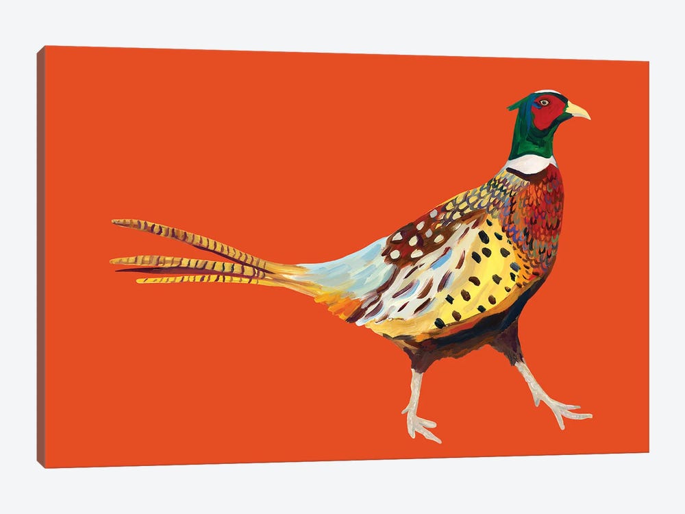 Pheasant on Orange by Alice Straker 1-piece Canvas Wall Art