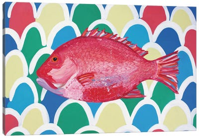 Red Snapper Canvas Art Print - Seafood Art