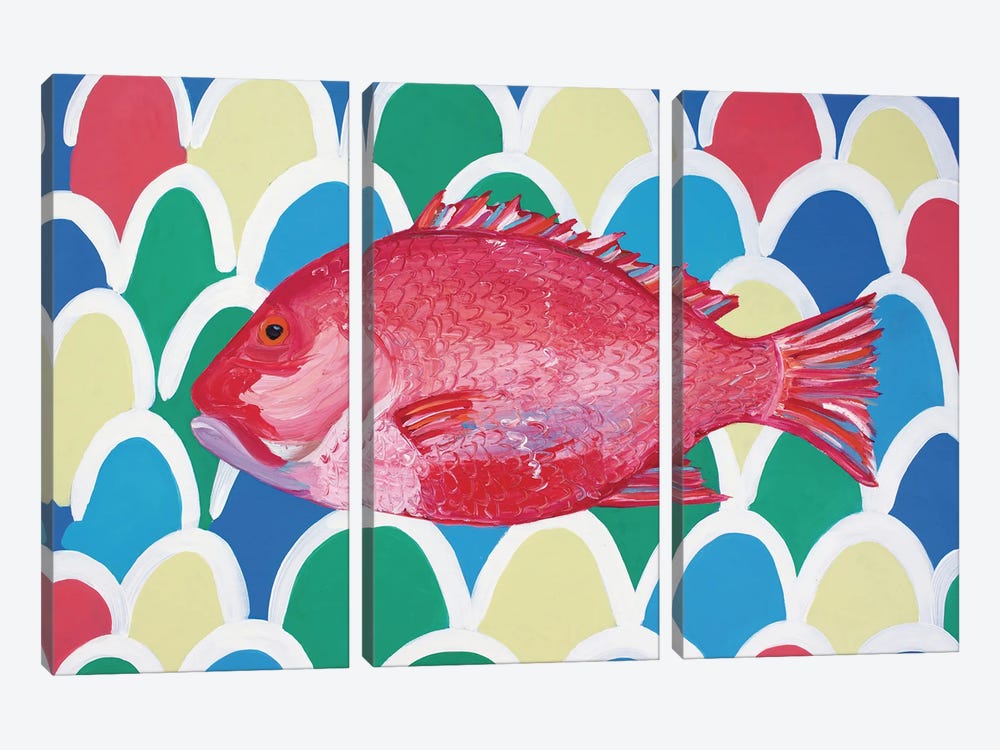 Red Snapper by Alice Straker 3-piece Canvas Artwork