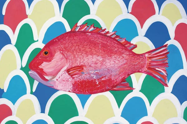 Alice Straker: Red Snapper by Alice Straker