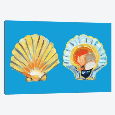 Scallops on Blue Canvas Print #AIE33} by Alice Straker Canvas Art Print