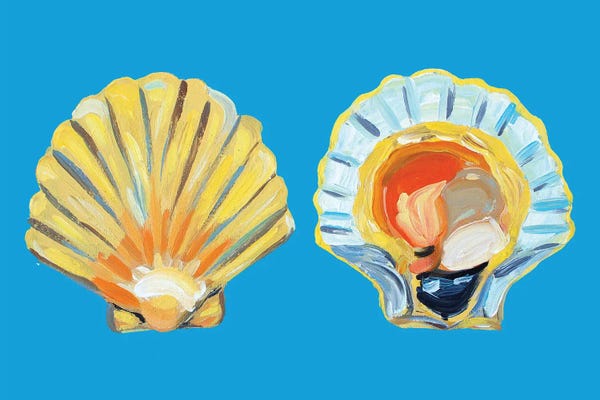 Alice Straker: Scallops on Blue by Alice Straker