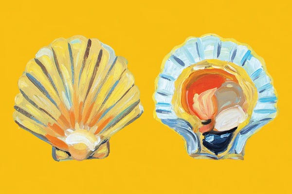 Alice Straker: Scallops on Yellow by Alice Straker