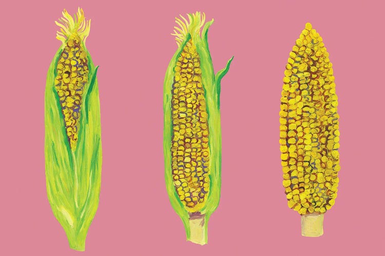 Sweetcorn on Pink