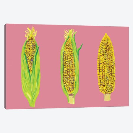 Sweetcorn on Pink Canvas Print #AIE38} by Alice Straker Canvas Art Print