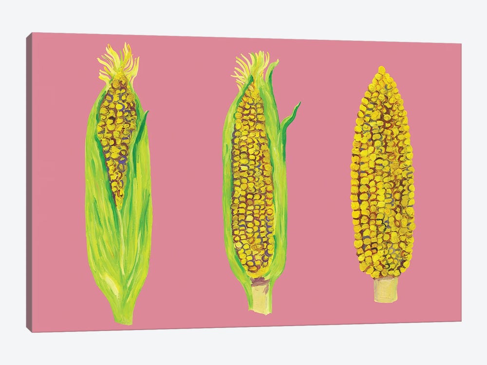 Sweetcorn on Pink by Alice Straker 1-piece Canvas Wall Art