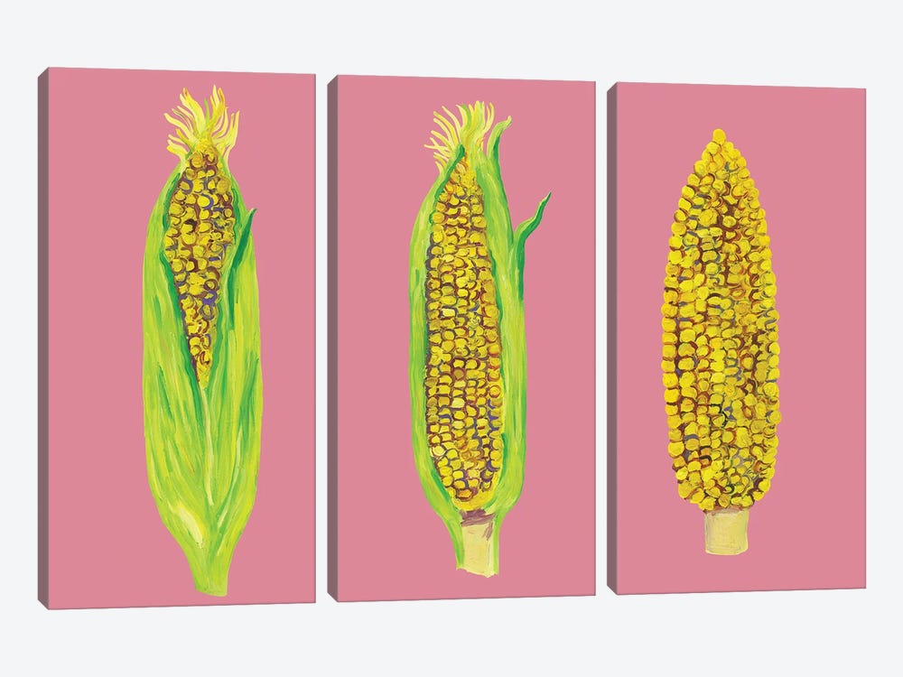 Sweetcorn on Pink by Alice Straker 3-piece Canvas Wall Art