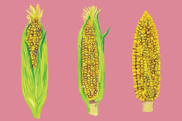 Alice Straker: Sweetcorn on Pink by Alice Straker