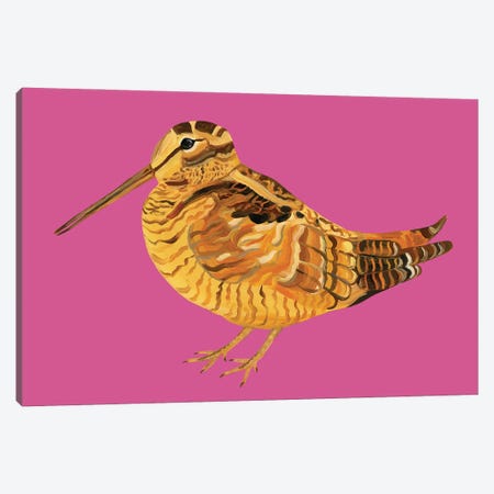 Wonderful Woodcock Pink Canvas Print #AIE40} by Alice Straker Canvas Artwork
