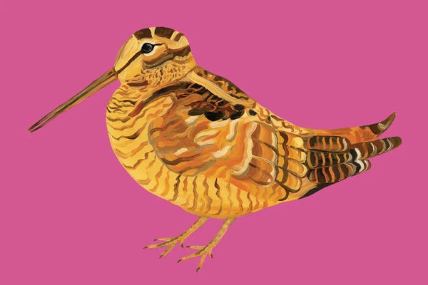 Alice Straker: Wonderful Woodcock Pink by Alice Straker