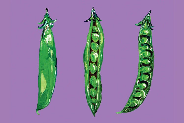 Peas In A Pod On Purple