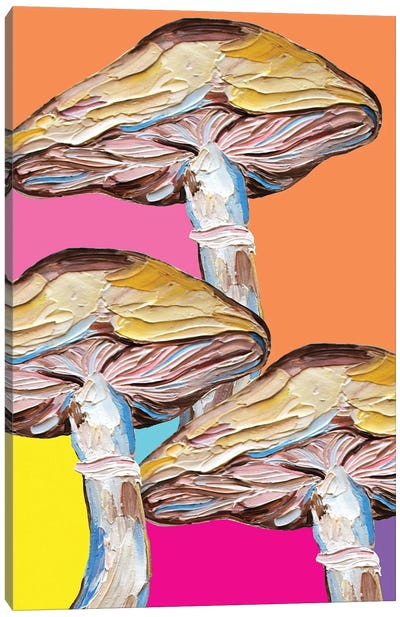 Mushrooms On Rainbow Quilt Canvas Art Print - Vegetable Art