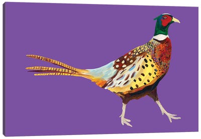 Pheasant On Purple Canvas Art Print - Alice Straker
