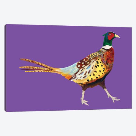 Pheasant On Purple Canvas Print #AIE58} by Alice Straker Canvas Print