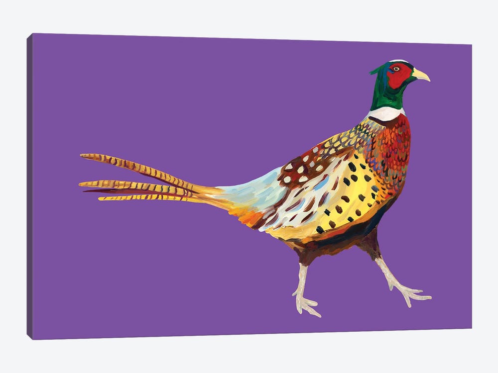 Pheasant On Purple by Alice Straker 1-piece Canvas Art