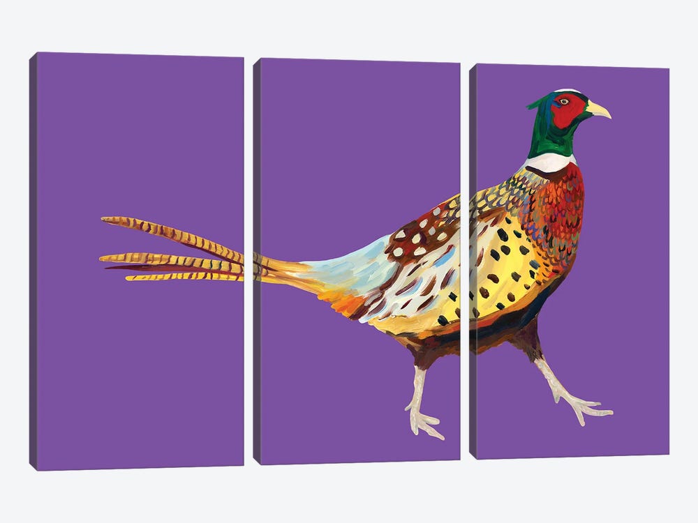 Pheasant On Purple by Alice Straker 3-piece Canvas Wall Art