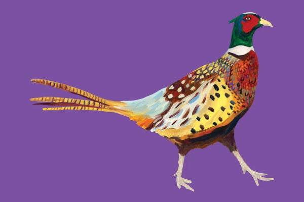 Pheasants: Pheasant On Purple by Alice Straker