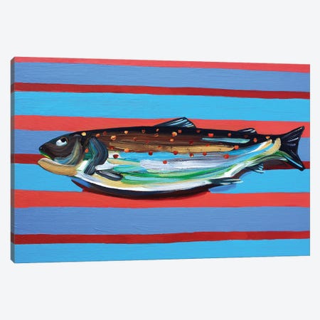 Brown Trout on Blue and Maroon Stripey Canvas Print #AIE6} by Alice Straker Art Print