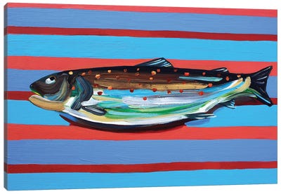 Brown Trout on Blue and Maroon Stripey Canvas Art Print - Alice Straker